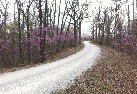 Lockegee Rock and Cave Run Lake